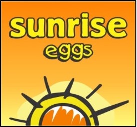 Sunrise Organic Eggs (30) Jumbo - R90